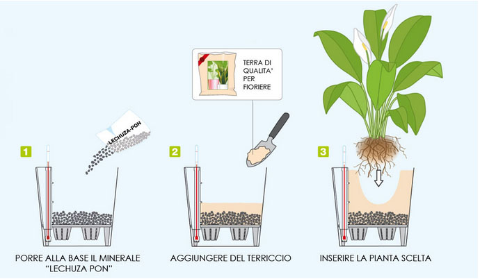 Paassagi come piantare nei vasi lechuza